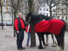 15 Jahre1.jpg